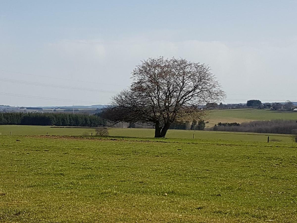 Le Clos De Rosa La-Roche-en-Ardenne Exteriér fotografie